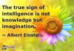 the true sign of intelligence